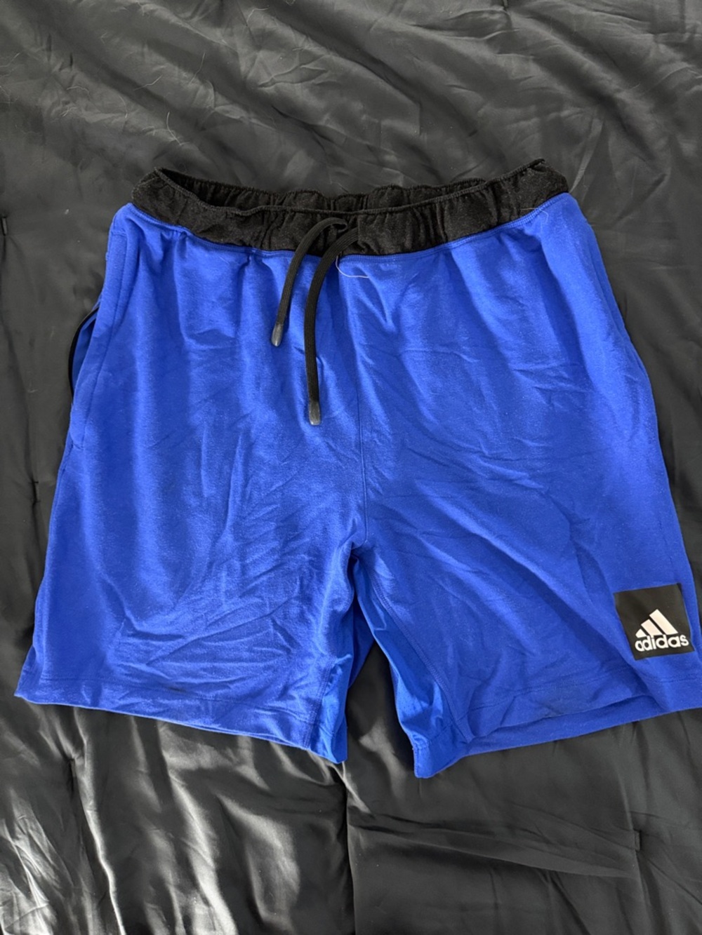 adidas Men's Royal Blue Athletic Shorts with Black Waistband